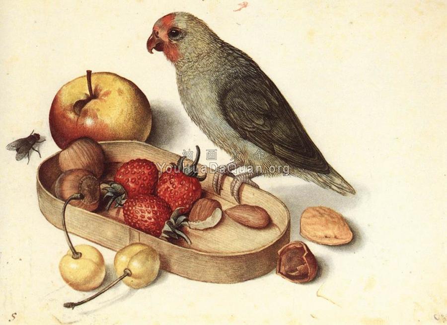 Still-Life with Pygmy Parrot - 格奥尔·弗莱格尔